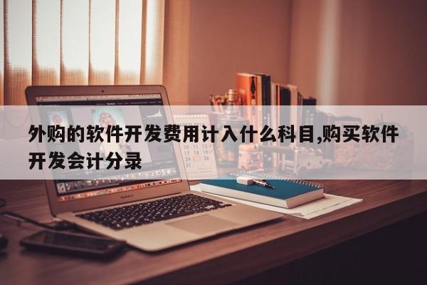 外购的软件开发费用计入什么科目,购买软件开发会计分录