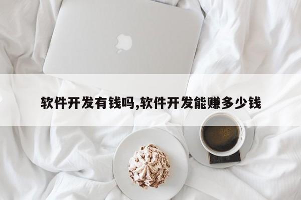 软件开发有钱吗,软件开发能赚多少钱