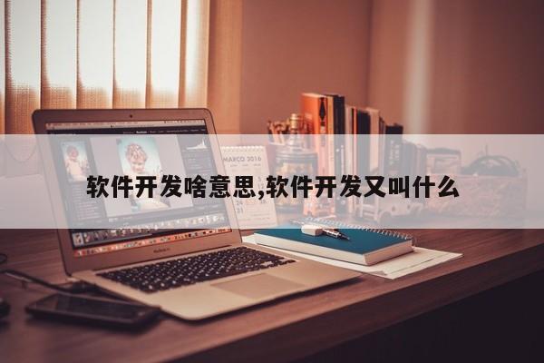 软件开发啥意思,软件开发又叫什么