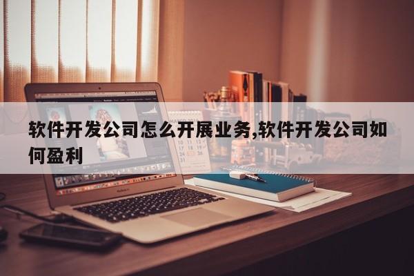 软件开发公司怎么开展业务,软件开发公司如何盈利