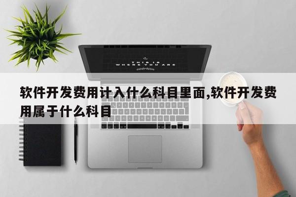 软件开发费用计入什么科目里面,软件开发费用属于什么科目