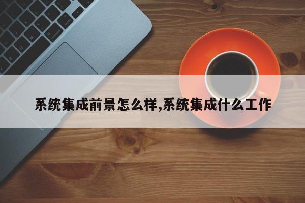 系统集成前景怎么样,系统集成什么工作